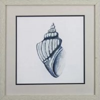 17" Square Navy Whelk Shell in Tan Frame Under Glass