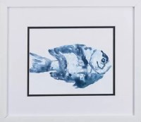 14" x 16" Blue Striped Fish in White Frame Under Glass