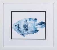 14" x 16" Blue Short Fish in White Frame Under Glass