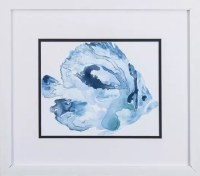 14" x 16" Blue Tall Fish in White Frame Under Glass