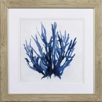 19" Square Dark Blue Coral Cluster in Tan Frame Under Glass