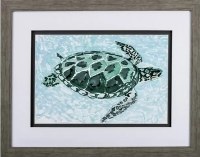 21" x 27" Green Turtle With Four Flippers in Gray Frame Under Glass