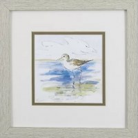 11" Square One Shorebird in Gray Frame Under Glass