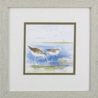 11" Square Two Shorebirds in Gray Frame Under Glass