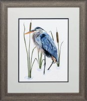 22" x 19" Blue Heron with Head Down in Gray Frame Under Glass