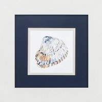 13" Sqaure Blue Clam Shell in White Frame Under Glass