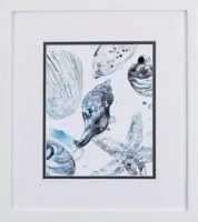 16" x 14" Blue Shell in White Frame Under Glass