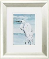 13" x 11" White Heron With Wings Down in Frame Under Glass