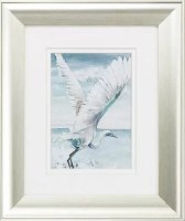 13" x 11" White Heron With Wings Up in Frame Under Glass