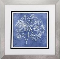 21" Square Thick White Coral on Navy Background in Gray Frame Under Glass