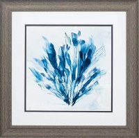 19" Square Thin Blue Coral in Gray Frame Under Glass