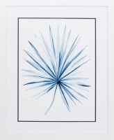 33" x 27" Indigo Tropical Leaf 2 in White Frame Under Glass