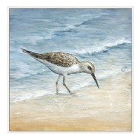 16" Square Sandpiper Hunting Canvas Wall Art With Wood Frame