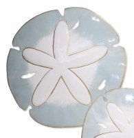 18" Round Aqua and White Metal Sand Dollar Coastal Wall Art Plaque