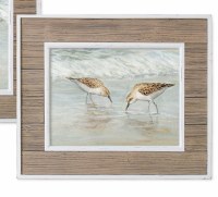 20" x 24" Sandpiper Duo Gel Coated Art Print With Brown Wood Frame