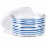 Blue Stripe Tritan Double Wall Insulated Bowl With Lid