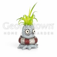 3" Ollie the Octopus With Lifesaver Planter