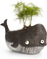 10" Gray Goliath the Whale Planter