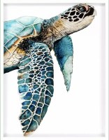 50" x 38" Great Sea Turtle Print Framed Under Glass