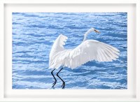 32" x 44" Taking Flight Print Framed