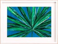 20" x 26" Palmetto on Blue Background Framed