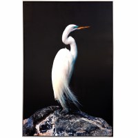 60" x 40" White Egret on Black Canvas Wall Art in Frame