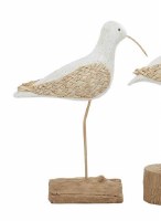 15" Distressed White and Beige Polyresin Sea Bird on Log