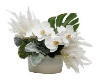 14" Faux White Orchids and White Pampa Grass in Ceramic Hannover Pot