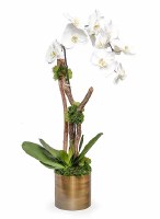 34" Faux White Orchid in Bronze Pot