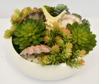 12" Faux Succulents and Shells in a White Bowl