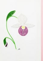 5" x 7" Minnesota Lady Slipper Flower Quilling Card