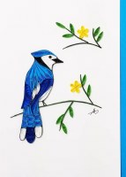 5" x 7" Blue Jay Quilling Card