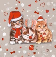 5" Square Christmas Kitten Trio Beverage Napkins