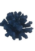 5" Navy Polyresin Faux Coral Decor