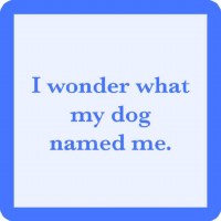 4" Square Light Blue With Blue Border I Wonder What My Dog Named Me Coaster