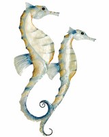 20" x 13" Blue and Yellow Capiz Seahorses Coastal Wall Art Plaque