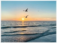 32" x 42" Sunset Flight Canvas Framed