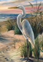 40" x 28" White Egret on the Beach House Flag