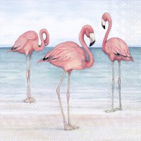 5" Square Flamingo Trio on Beach Beverage Napkins