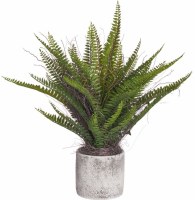 19" Faux Green Fern in Gray Cement Pot