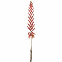 28" Faux Red Agave Flower Stem