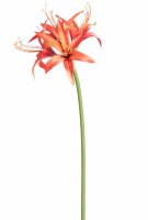 29" Faux Flame Spider Amaryllis Spray