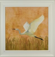 31" SQ White Heron Flying Gel Print With White Frame