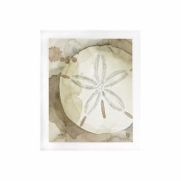 30" x 24" Sand Dollar 2 Gel Print With Whitewash Frame