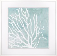 34" SQ Sea Crown 1 Framed Print Under Glass