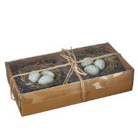 Box of 2 Blue Nested Robin Eggs