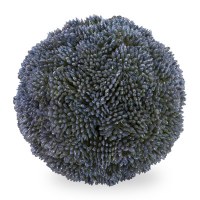 4" Dark Blue Sedum Orb