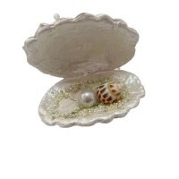 4" White Clam Shell Ornament with Pearls