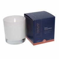 7 oz Sexy Cinnamon Fragrance Glass Candle