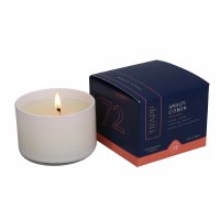 3.75 oz Amalfi Citron Fragrance Glass Candle